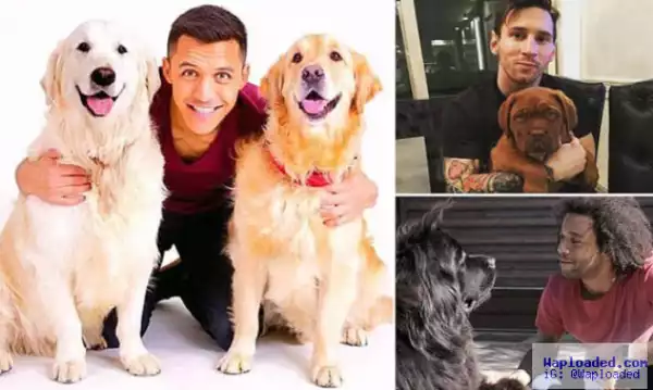 Photos: Footballers Lionel Messi, Alexis Sanchez, Ozil & others pictured with their dogs